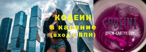 mdpv Богородицк
