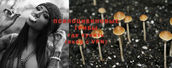 стаф Белоозёрский