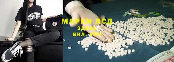 стаф Белоозёрский