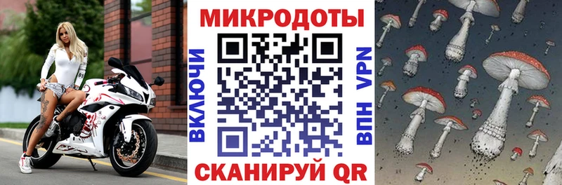 Псилоцибиновые грибы Psilocybe  Бугульма 